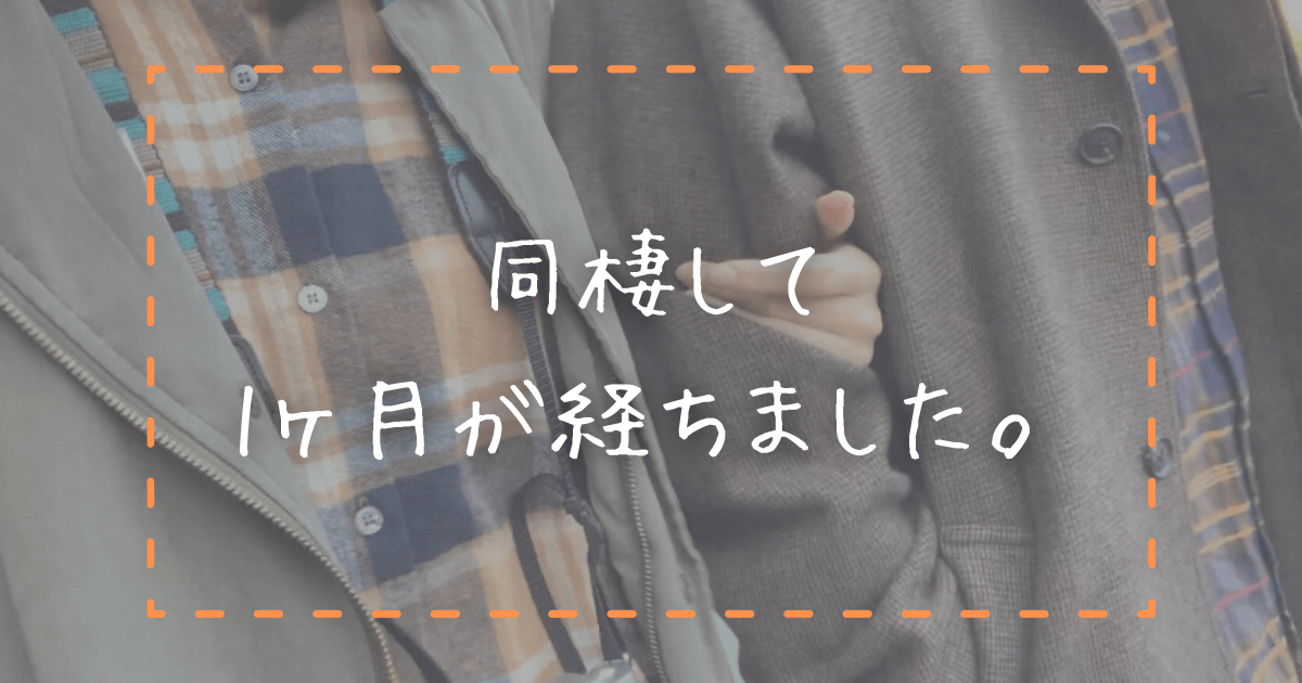 同棲 1ヶ月が経ちました 家事分担や気を付けていること ポチオトブログ