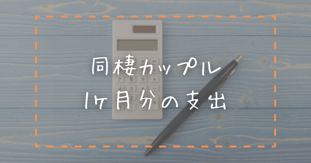 1ヶ月の支出はいくら 同棲カップル1ヶ月分の生活費を公開 ポチオトブログ